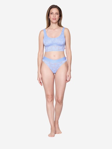 JOOP! Jeans String ' Allover Lace ' in Blau