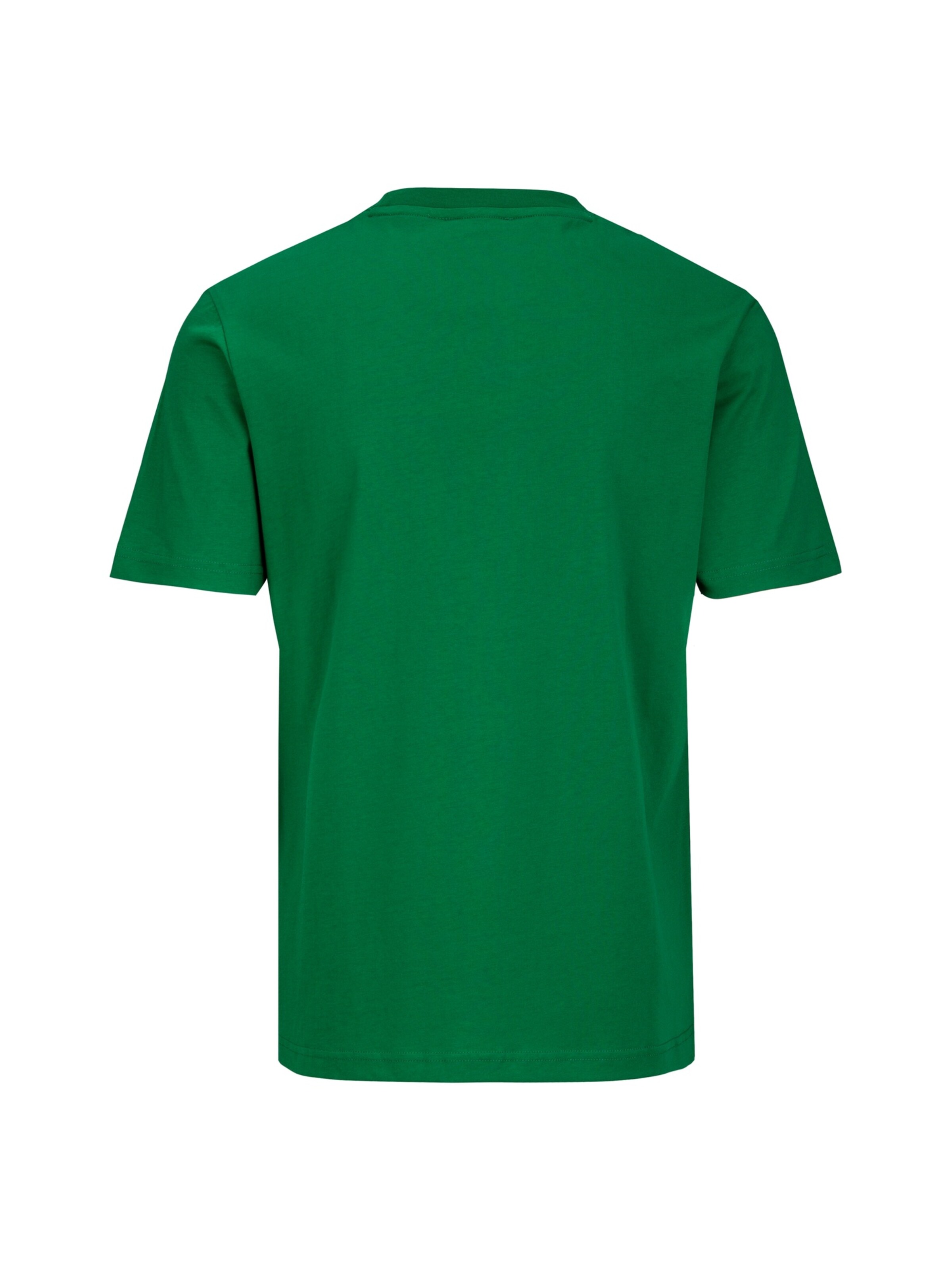 19V69 ITALIA Shirt 'Rafael' in Groen
