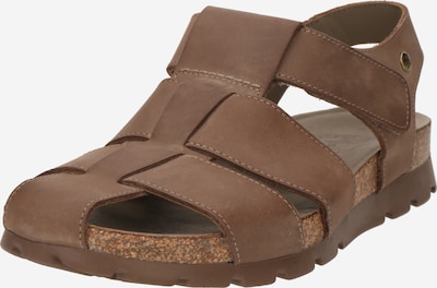 PANAMA JACK Sandale 'Stanley C8' u taupe siva, Pregled proizvoda