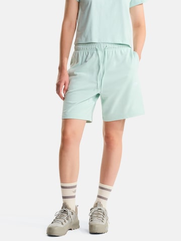 THE NORTH FACE Ohlapna forma Hlače | modra barva: sprednja stran