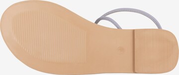 faina Sandalen met riem in Lila