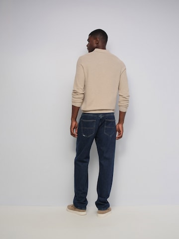 Salsa Jeans Regular Jeans Straight in Blau