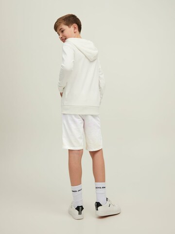 Jack & Jones Junior Regular Shorts in Mischfarben