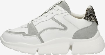 Baskets basses 'Cody' MARUTI en blanc : devant