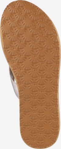 UGG Zehentrenner in Gold