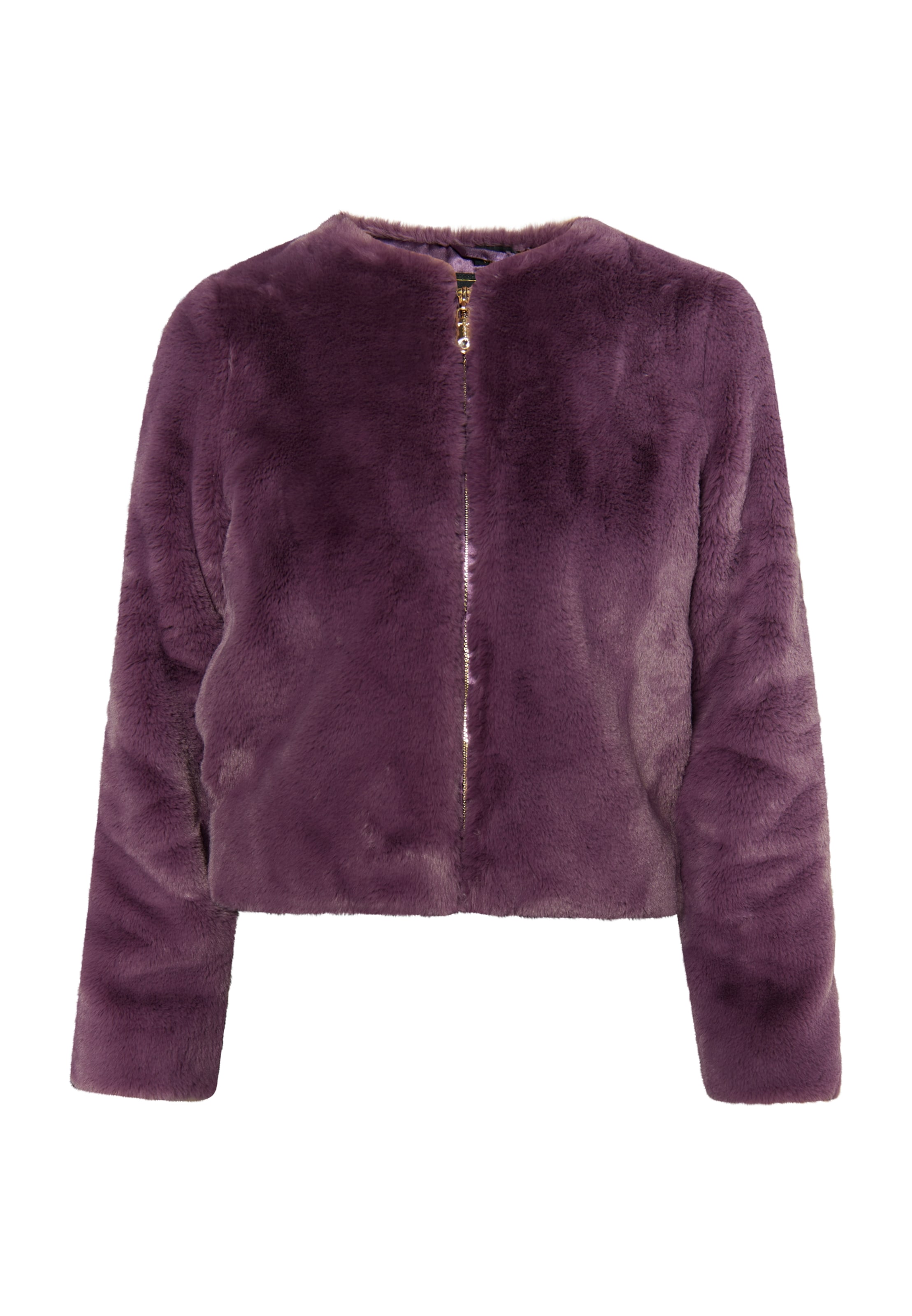 faina Φθινοπωρινό και ανοιξιάτικο μπουφάν σε λιλά: μπροστά