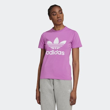 ADIDAS ORIGINALS Koszulka 'Adicolor Classics Trefoil' w kolorze fioletowy: przód