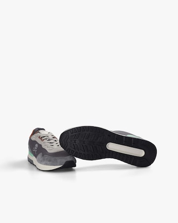 ScalpersNiske tenisice 'Harry' - plava boja