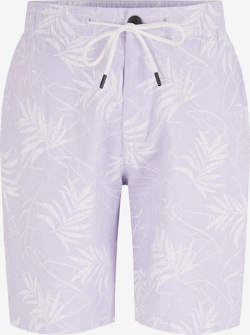 TOM TAILOR DENIM Pants in Purple: front