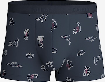 CALIDA Boxershorts 'Family & Friends' in Zwart: voorkant