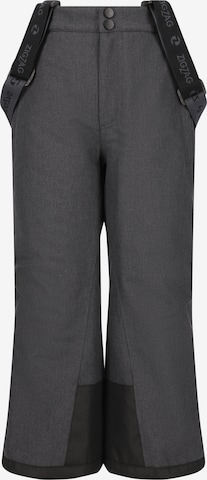ZigZag Regular Skihose 'Nino' in Grau: Vorderseite