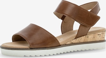 Sandalo di GABOR in marrone: frontale