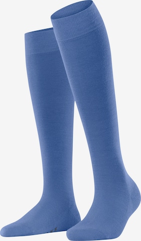FALKE Kniestrümpfe in Blau: Vorderseite