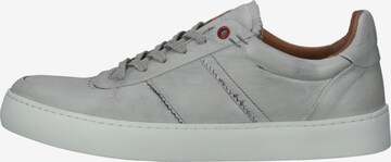 SANSIBAR Sneakers in Grey