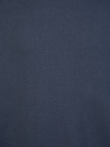 Pull-over PIERRE CARDIN en bleu