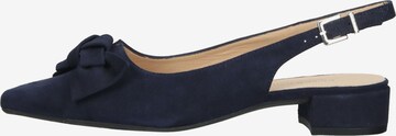 PETER KAISER Slingback Pumps in Blue