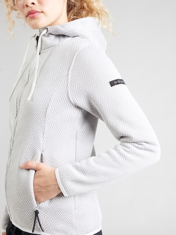 ICEPEAK Спортивная кофта 'AUEN' в Серый