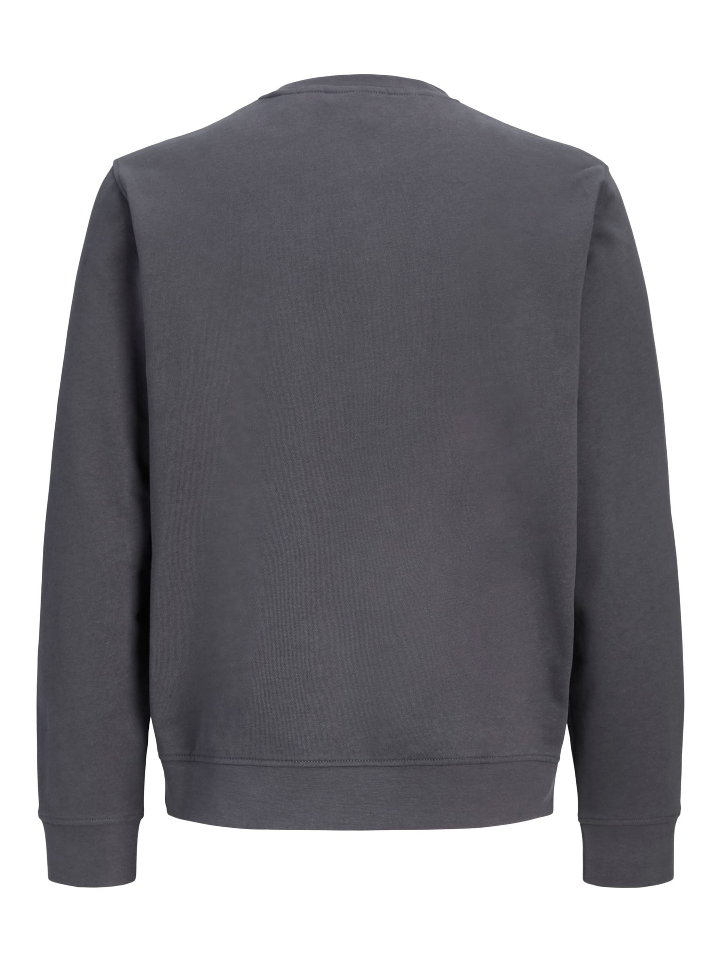 Jack & Jones Plus Sweatshirt 'JJEARCHIVE' i grå