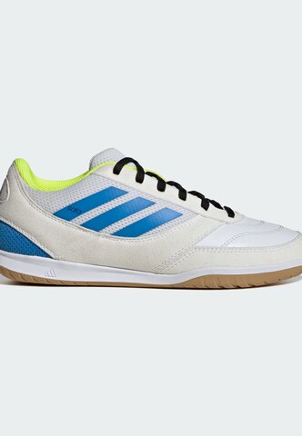 Chaussure de sport 'Top Sala Competition II' ADIDAS PERFORMANCE en blanc