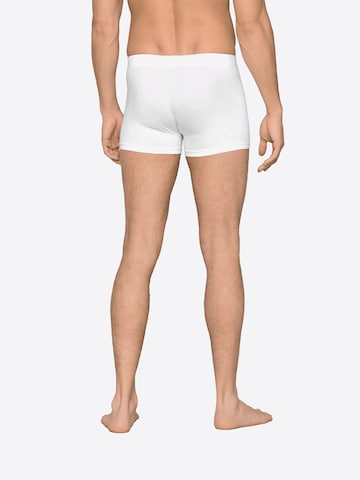 JOOP! Boxer shorts in White