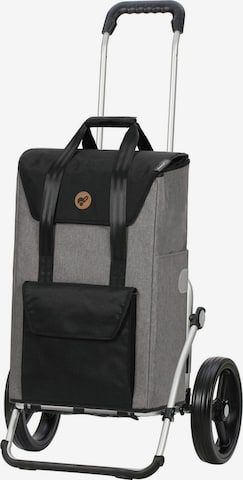 Trolley 'Senta' di Andersen Shopper in grigio: frontale