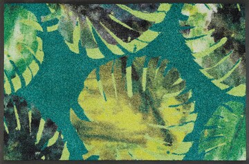 wash+dry Fußmatte 'Philo Leaves' in Grün: predná strana