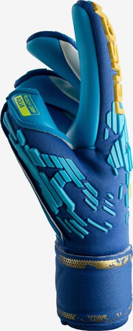 Gants de sport 'Attrakt Freegel Aqua Windproof' REUSCH en bleu