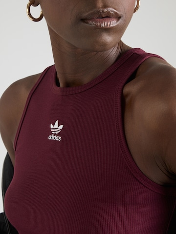 ADIDAS ORIGINALS Top 'Adicolor Essentials' w kolorze brązowy