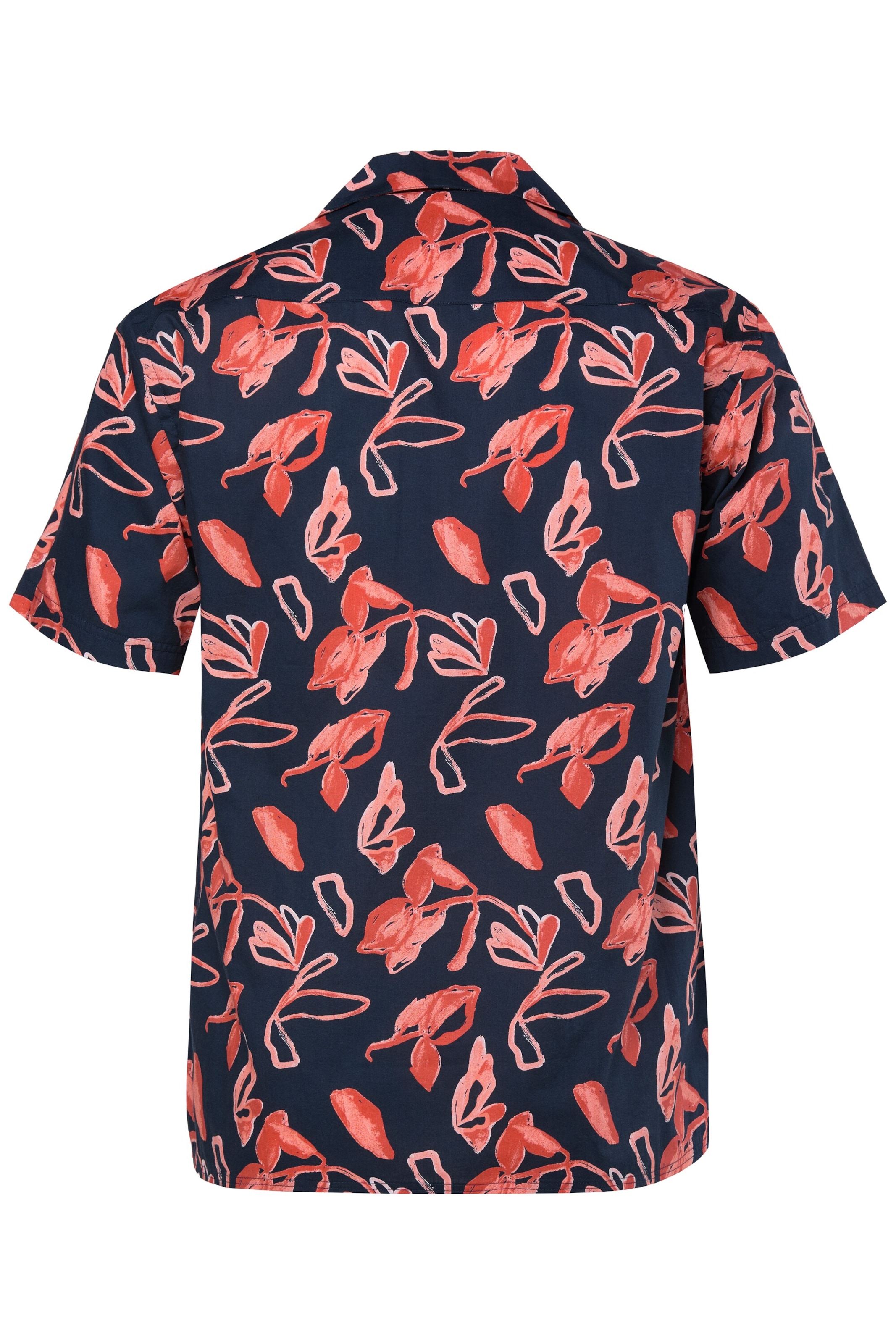 Men Plus Regular Fit Hemd in Blau