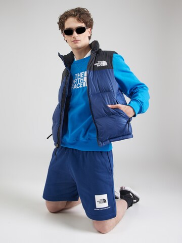 Felpa 'DREW PEAK' di THE NORTH FACE in blu