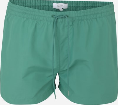 Maudymosi trumpikės iš Calvin Klein Swimwear, spalva – nendrių spalva, Prekių apžvalga