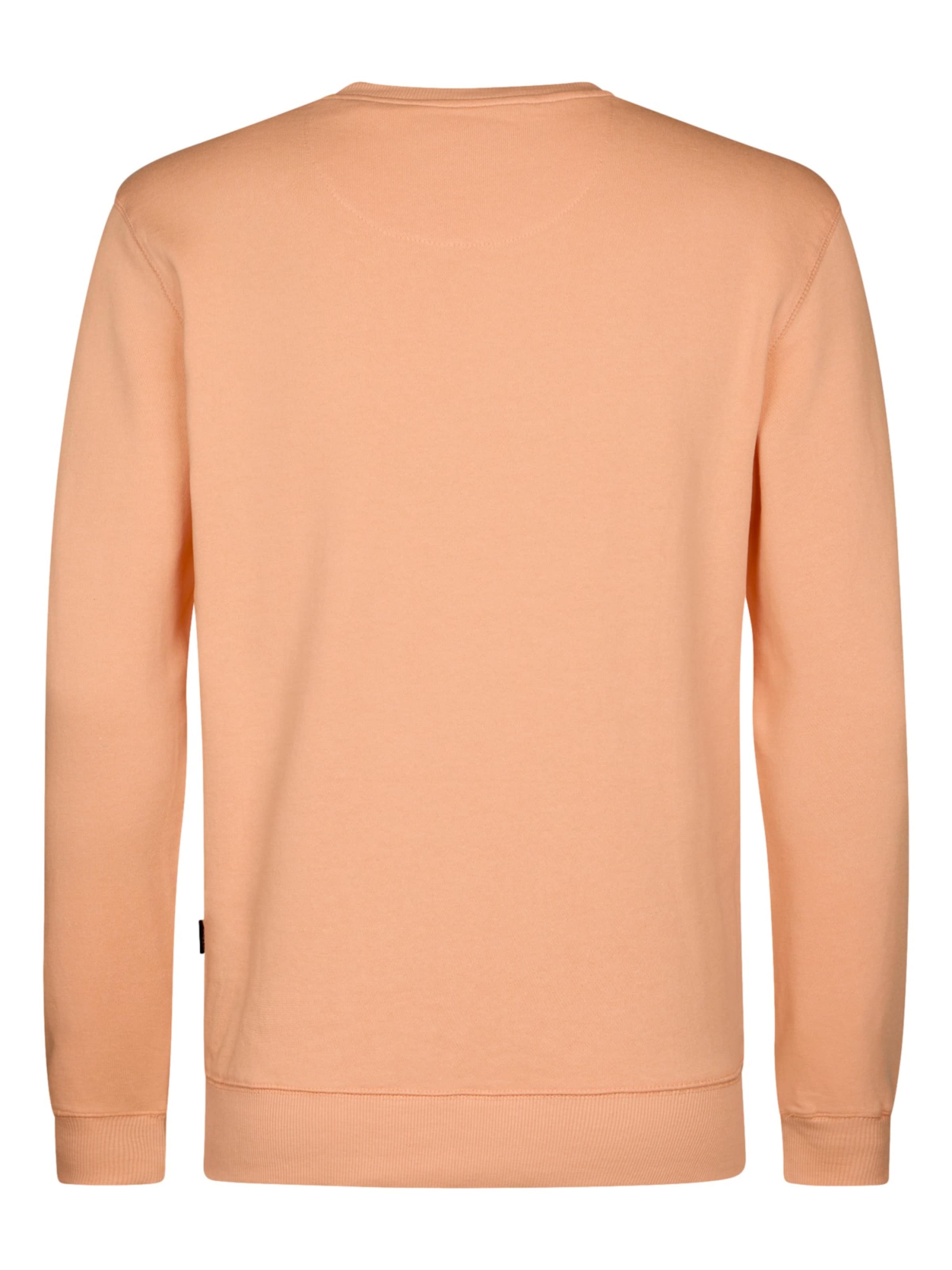 Petrol Industries Sweatshirt in Orange