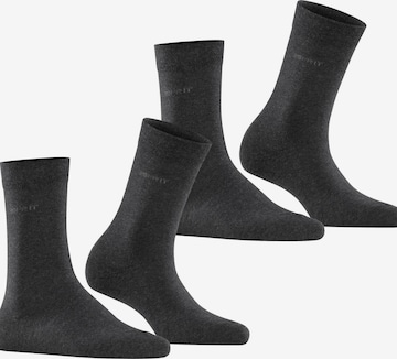 ESPRIT Socks 'Basic Easy 2-Pack' in Grey: front
