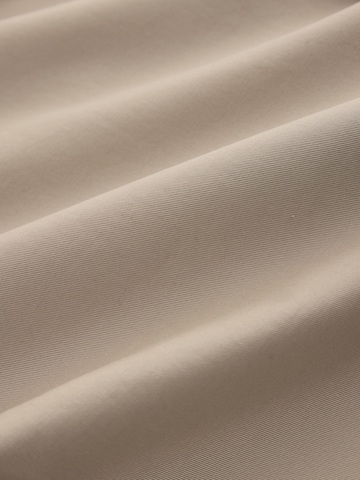 Next Regular Shorts in Mischfarben