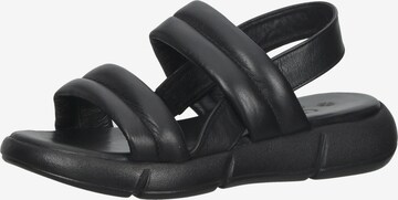 ILC Sandals in Black: front