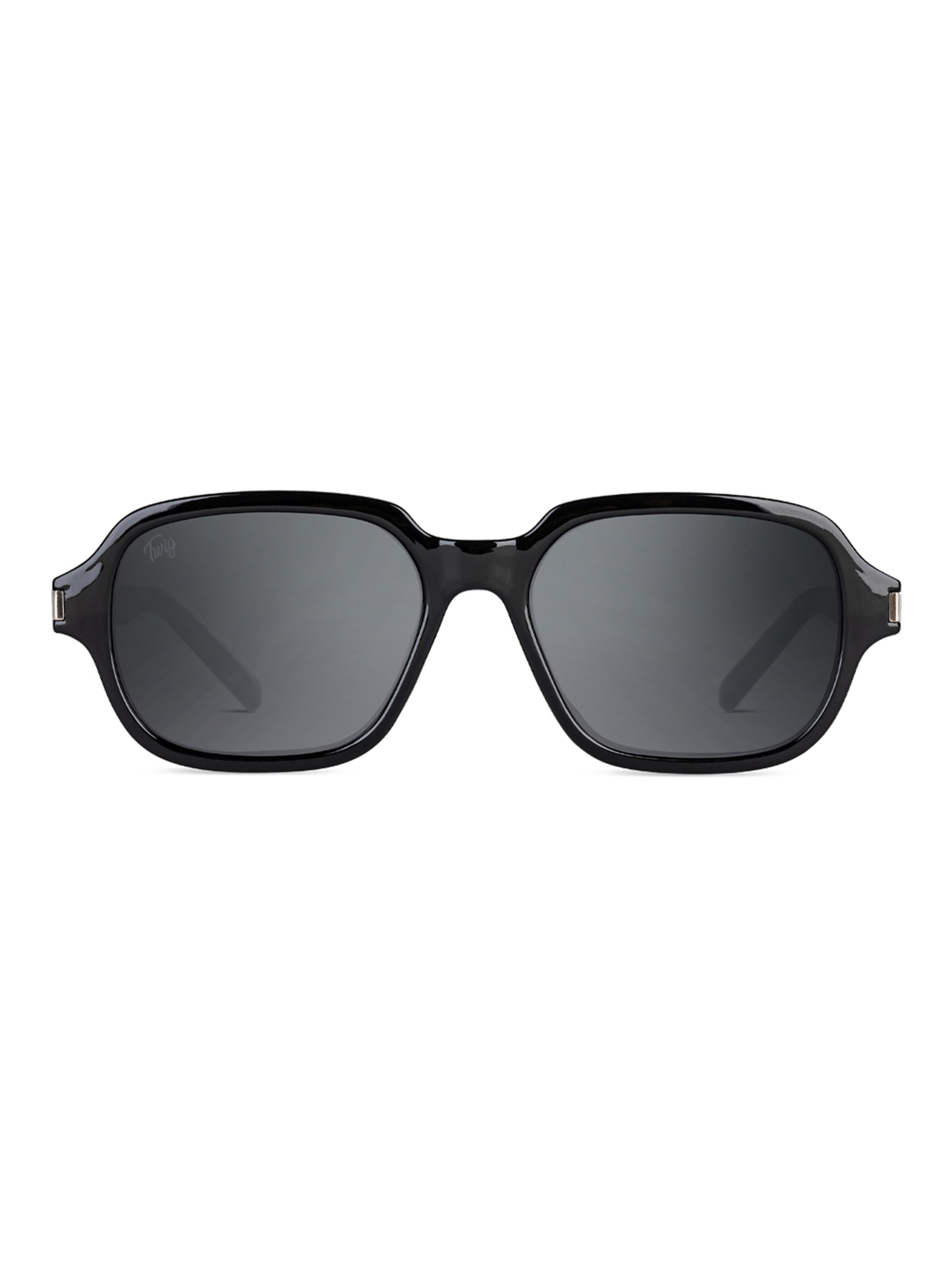 TWIG Concept Milano Sunglasses 'Acosta' in Black: front