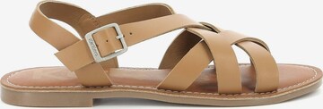 Kickers Sandalen met riem in Bruin