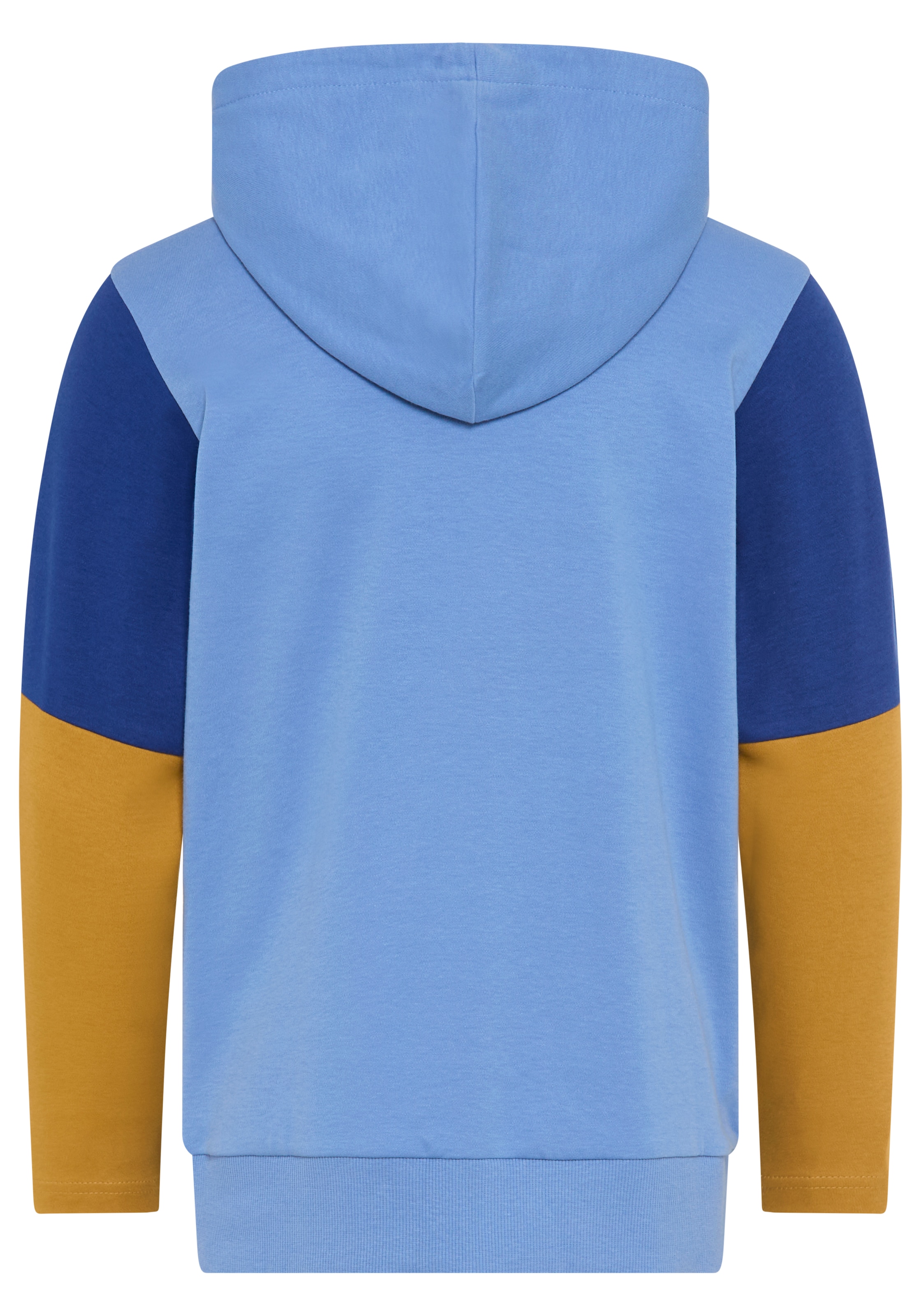 SCOUT Sweatshirt in Blue