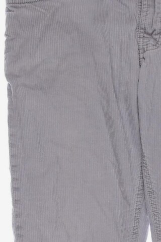 Nudie Jeans Co Jeans in 34 in Grey