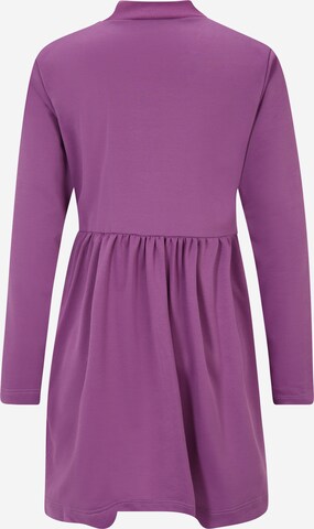 Robe Trendyol Petite en violet