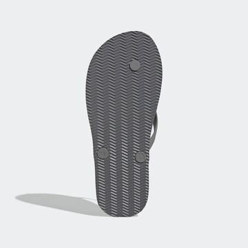 ADIDAS SPORTSWEAR Босоножки через палец 'KEITAKI ALPHA' в Серый