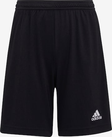 ADIDAS PERFORMANCE Regular Workout Pants 'Entrada 22' in Black: front