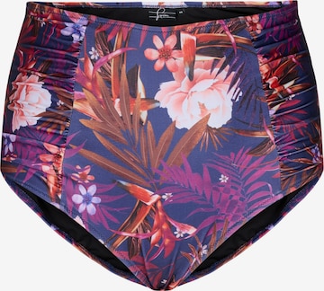 Swim by Zizzi Bikinihose 'TANIA' in Lila: predná strana