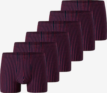 SCHIESSER Boxershorts '95/5 Essentials Organic Cotton' in Rood: voorkant