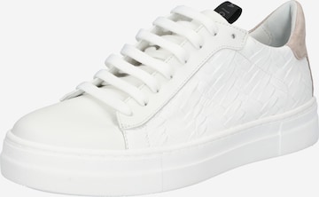Donna Carolina Sneakers in White: front