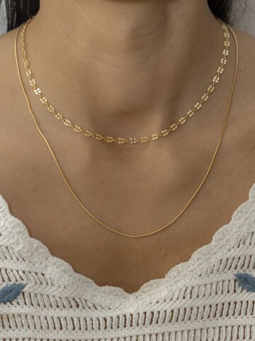 Chaîne caï en jaune : devant