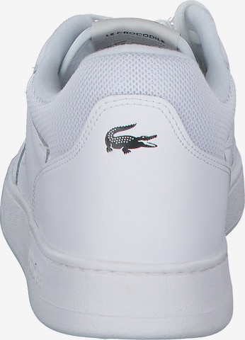 LACOSTE Sneaker low 'Lineset' i hvid