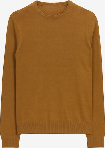 Ramsey Sweater in Brown: front