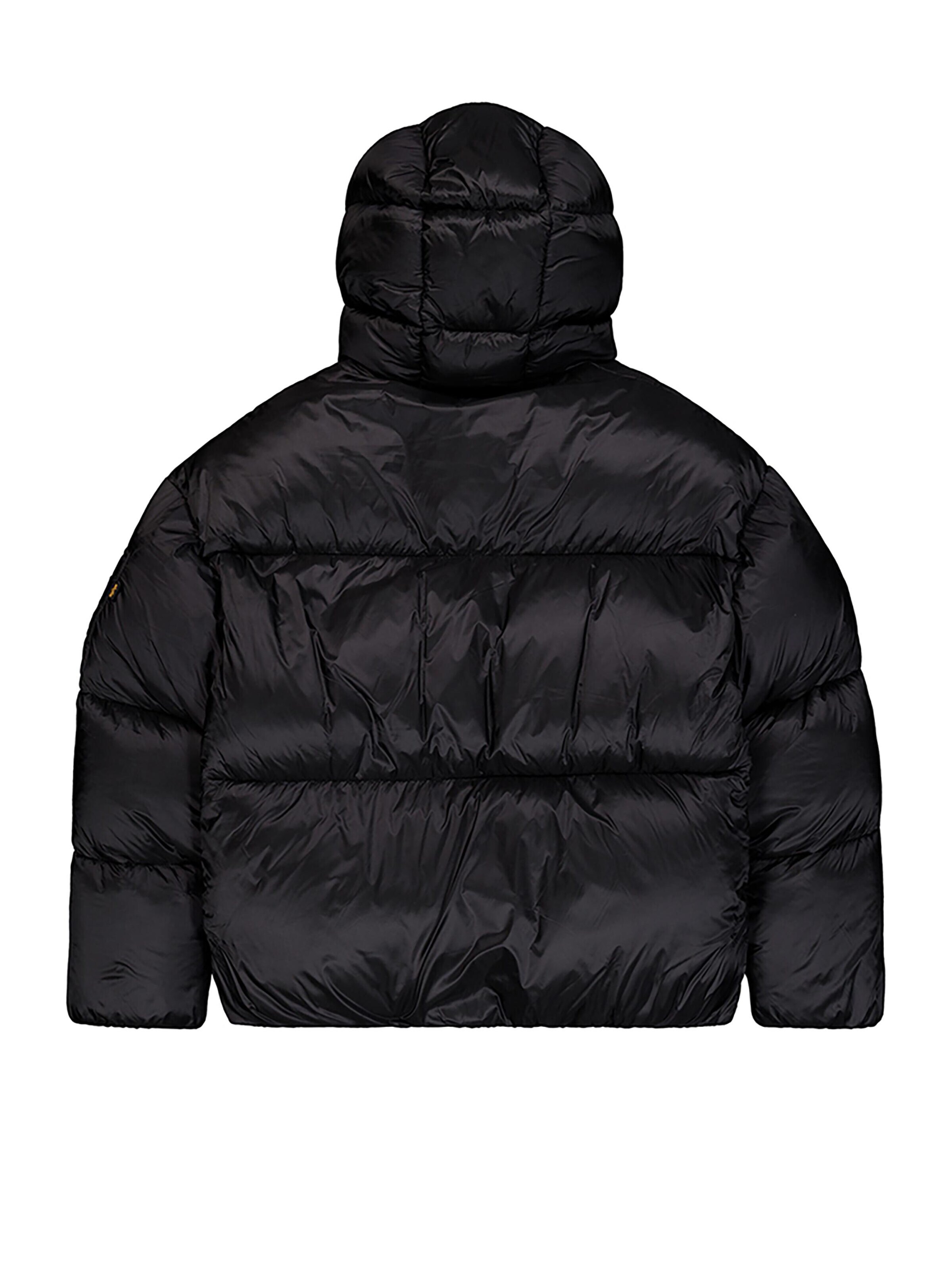ALPHA INDUSTRIES Winter Jacket in Black