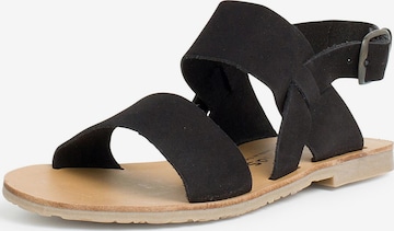Pisamonas Sandalen in Zwart: voorkant